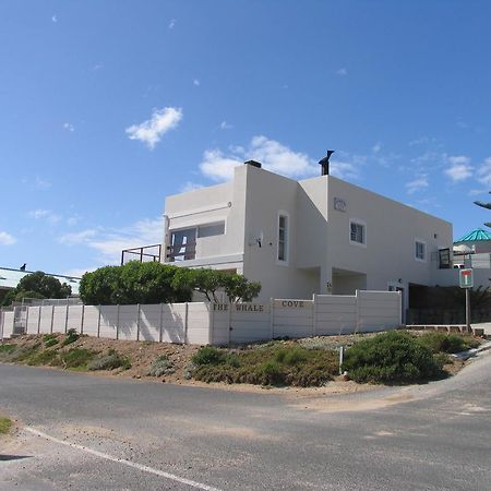 The Whale Cove Apartment Gansbaai Bagian luar foto